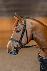 HFI padded bridle - HorseworldEU