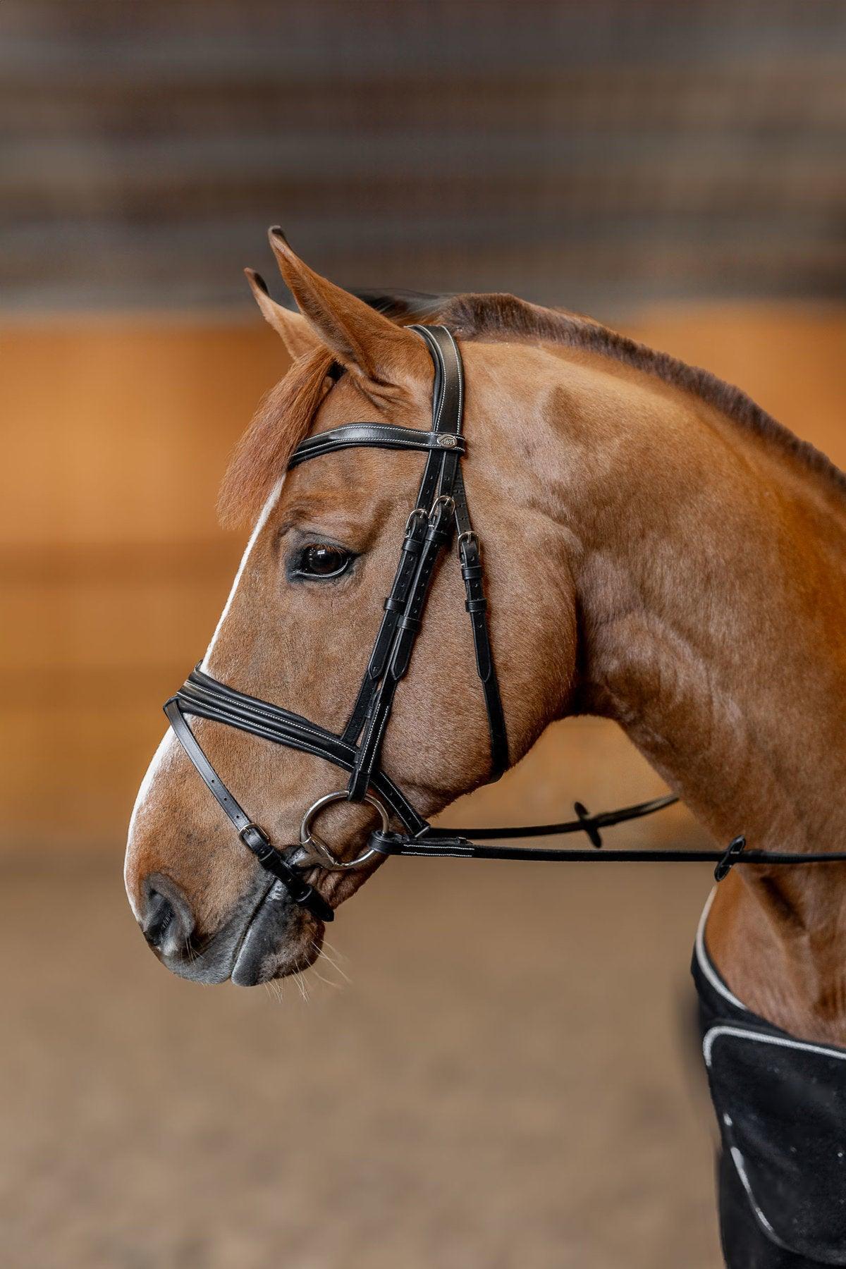HFI padded bridle - HorseworldEU