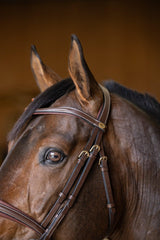 HFI padded bridle - HorseworldEU