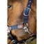 HFI smart halter HFI