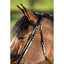 HFI techno bridle HFI