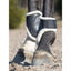 LeMieux Capella comfort fetlock boots Lemieux