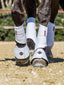 LeMieux proshell over reach boots - HorseworldEU