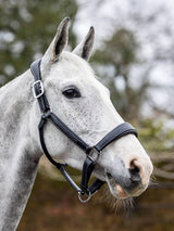 LeMieux stitched leather headcollar - HorseworldEU