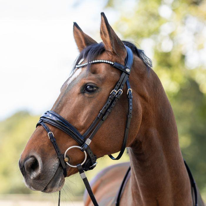 Stübben snaffle Bridle switch magic tack with Slide&Lock - HorseworldEU