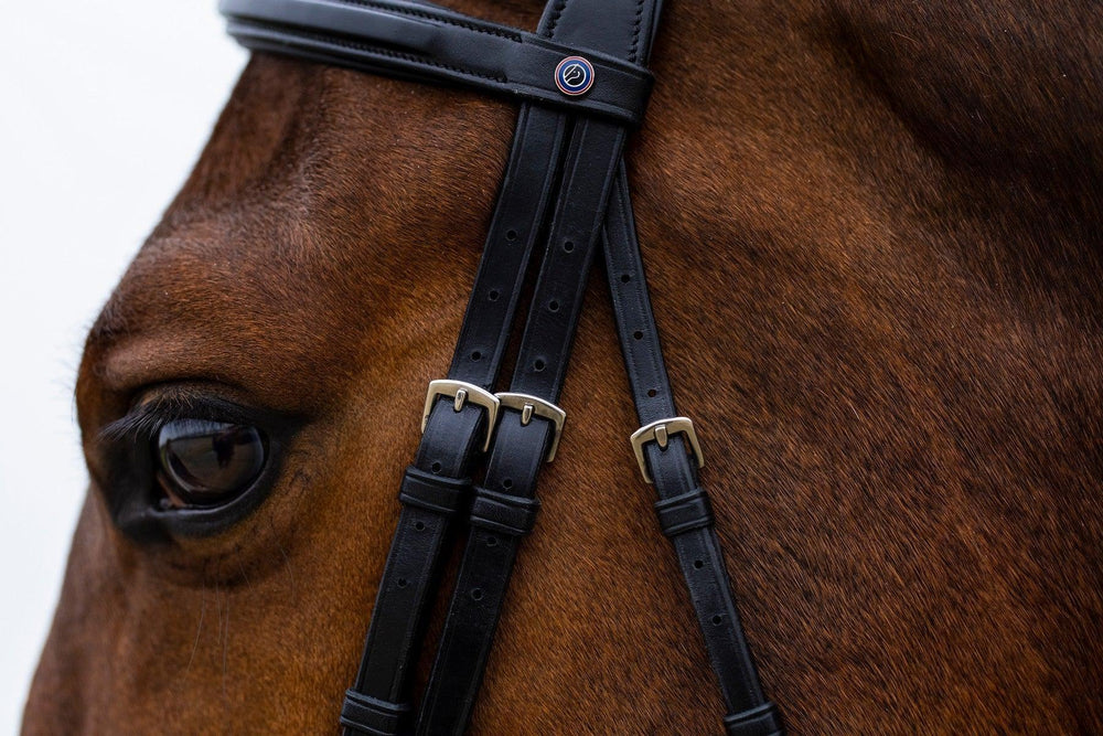 Trust Amsterdam Combined noseband bridle anatomic - HorseworldEU
